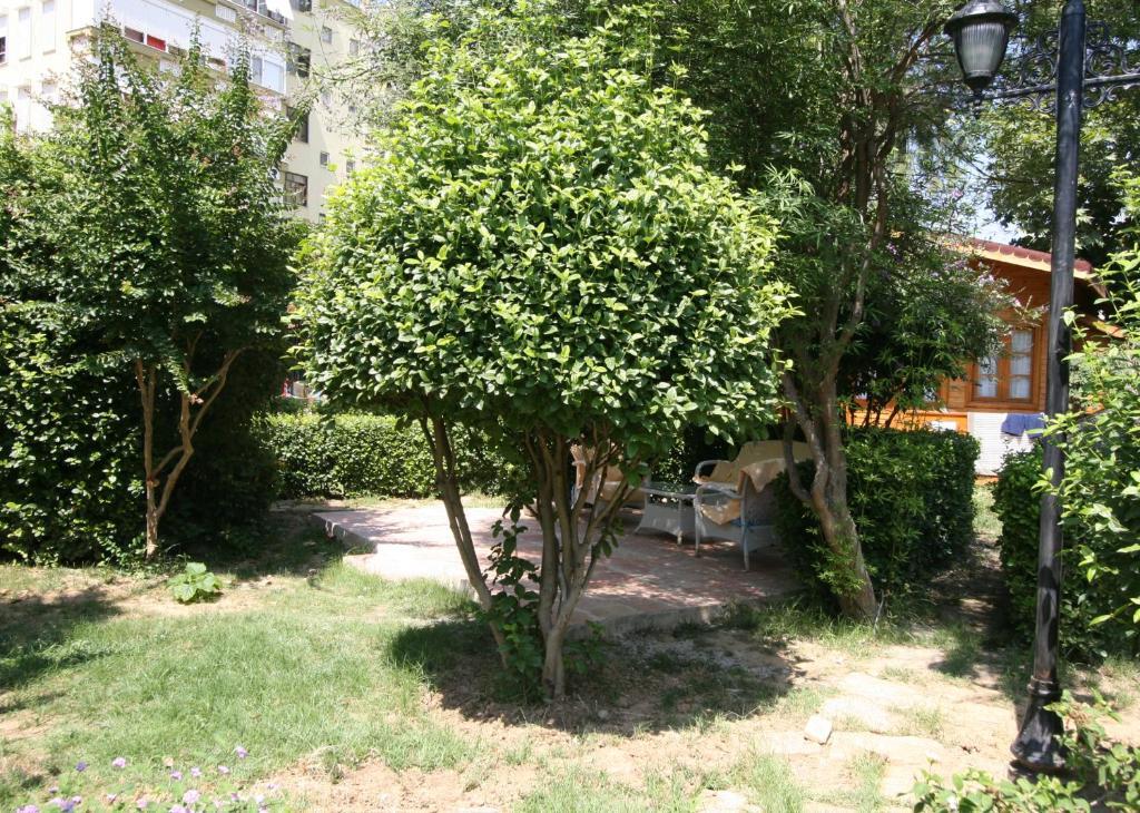 Sevkibey Hotel Alanya Exterior foto