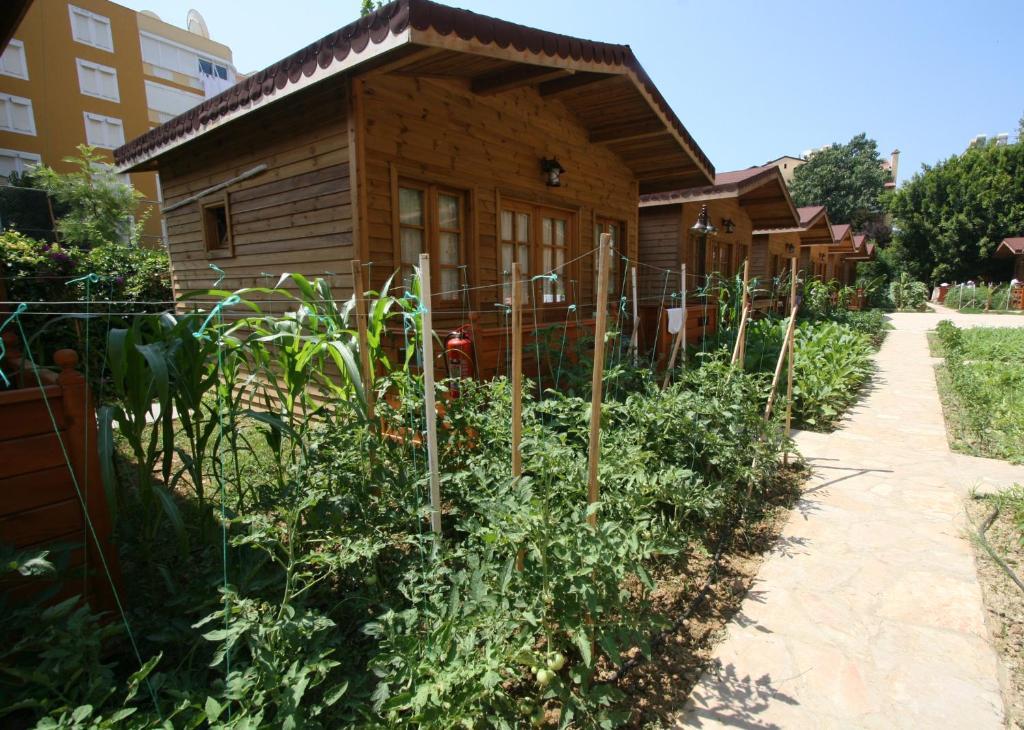 Sevkibey Hotel Alanya Exterior foto